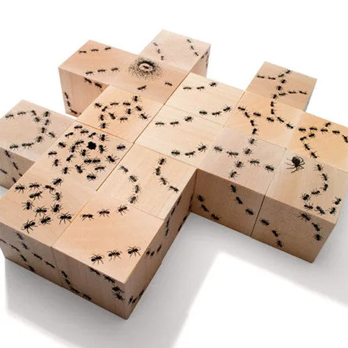 Antics Ant Blocks