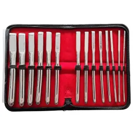 Rouge Garments Stainless Steel Silver 14 Piece Uterine Dilator Set