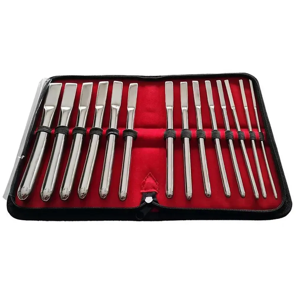 Rouge Garments Stainless Steel Silver 14 Piece Uterine Dilator Set