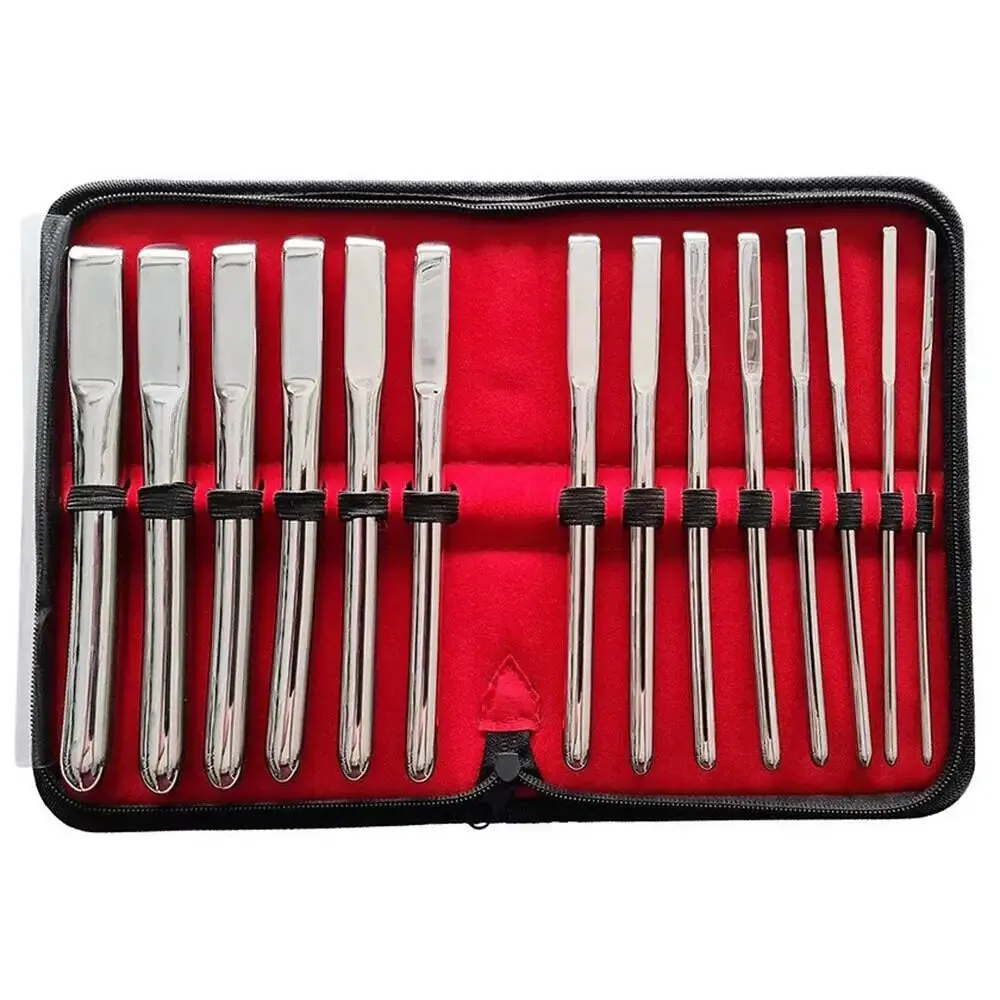 Rouge Garments Stainless Steel Silver 14 Piece Uterine Dilator Set