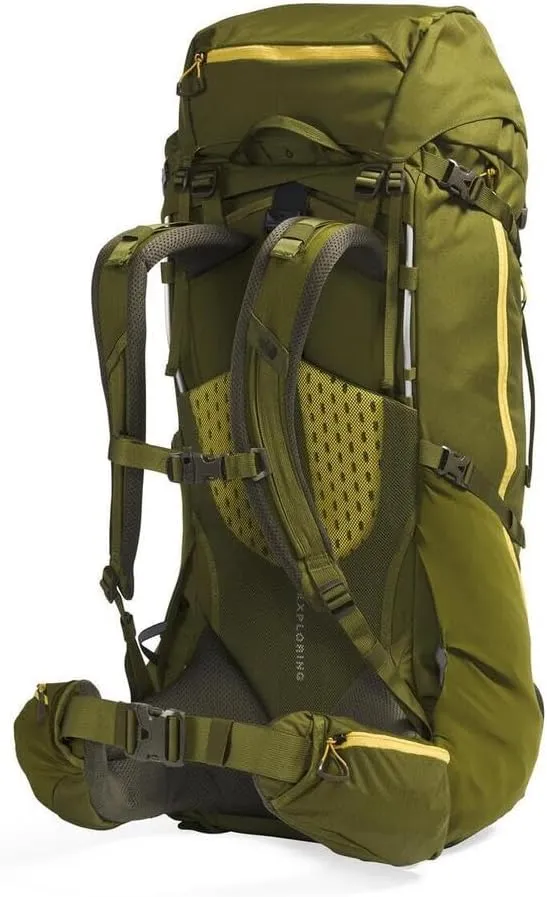 THE NORTH FACE Terra 65 L Backpacking Backpack, Forest Olive/New Taupe Green-NPF, Large/X-Large